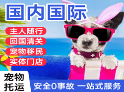 北海空运代理国际宠物托运 【国